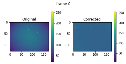 ../_images/notebooks_timelapse_nanog_17_0.png