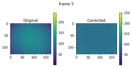 ../_images/notebooks_timelapse_nanog_17_1.png