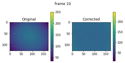 ../_images/notebooks_timelapse_nanog_17_2.png