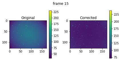 ../_images/notebooks_timelapse_nanog_17_3.png