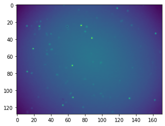 ../_images/notebooks_timelapse_nanog_5_2.png